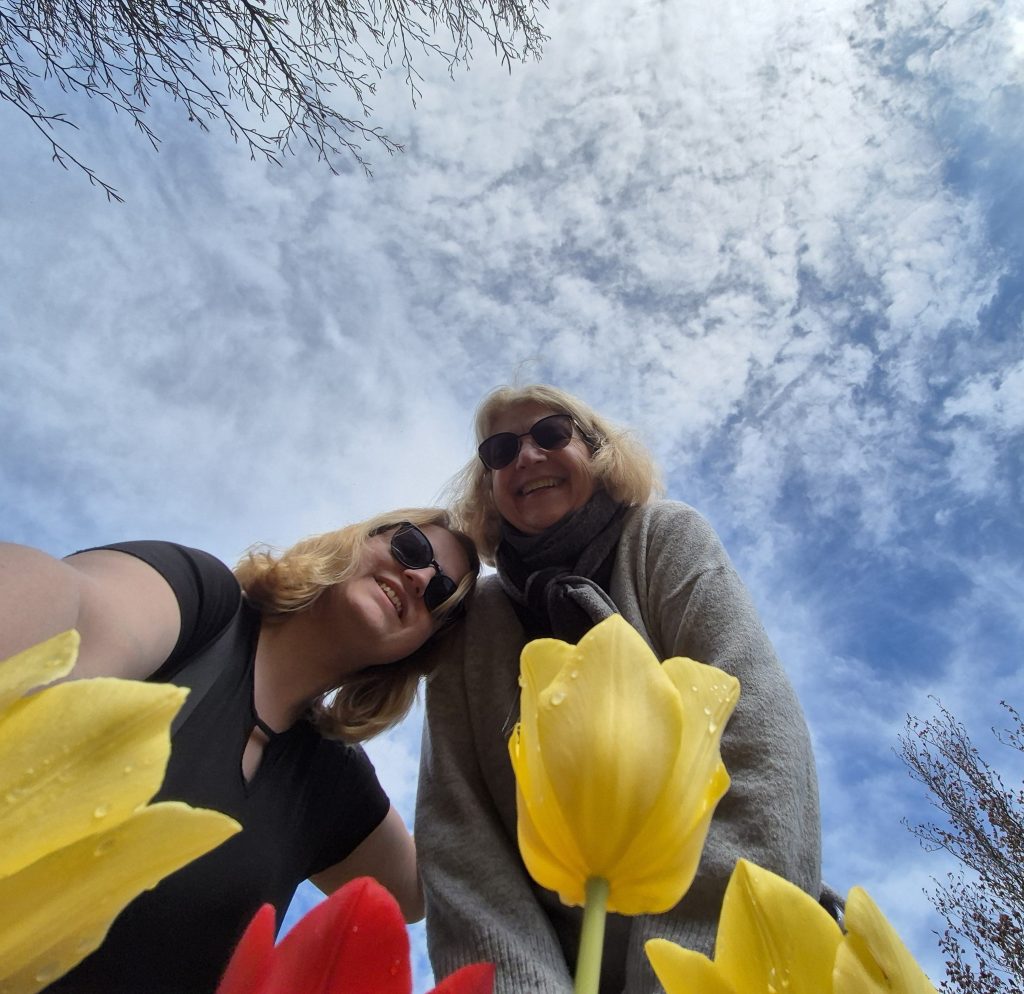 Tulpentreen, tulpenplukk, tulpenprukkrant Berendrecht heidisboble.no @heidisboble bilde tatt 20250421