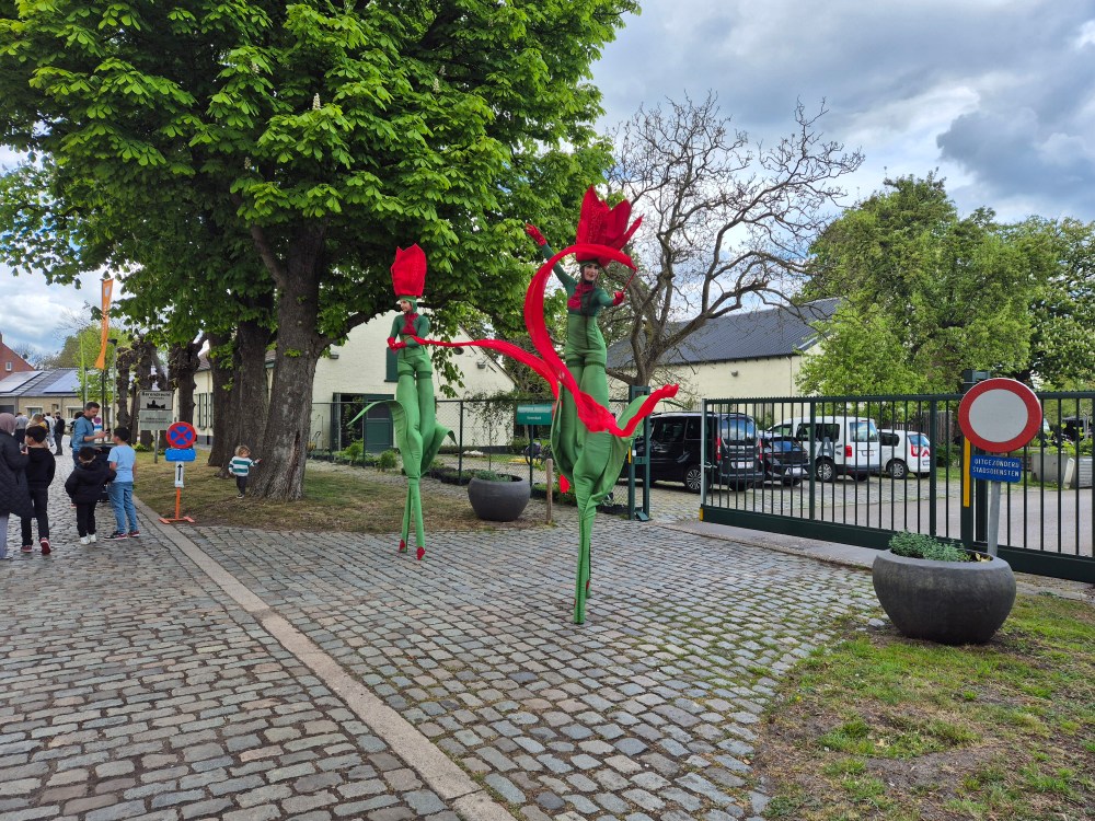 Tulpentreen, tulpenplukk, tulpenprukkrant
Berendrecht
heidisboble.no
@heidisboble
bilde tatt 20250421