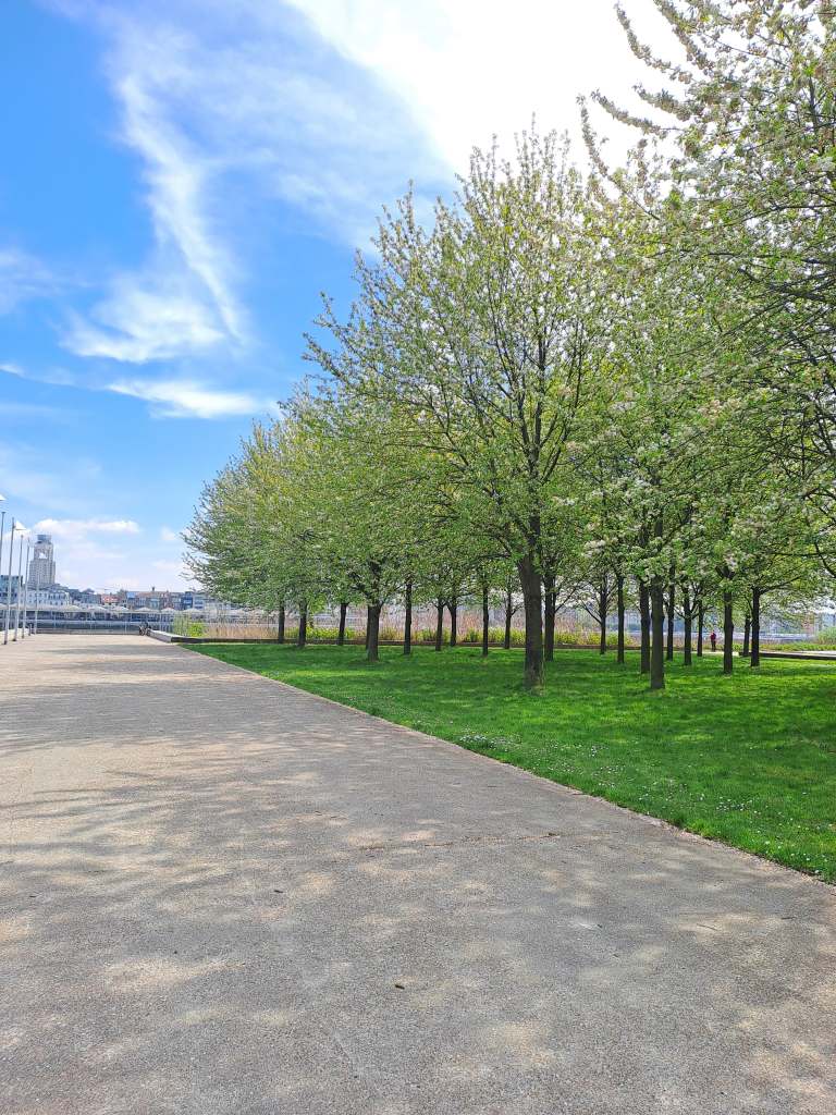 Sint-Anna Tunnelen, Antwerpen

Bilde tatt 20250418
@heidisboble heidisboble.no