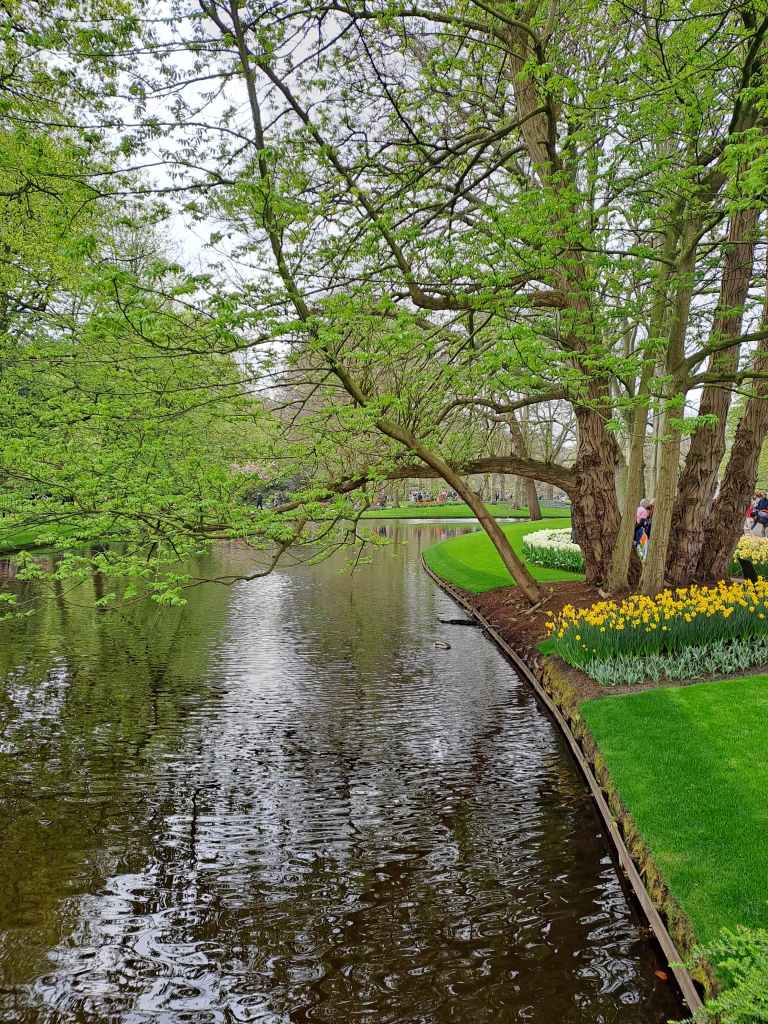 Wispherboat
KEUKENHOF BLOMSTERPARK Keukenhof, Stationsweg 166A, 2161 AM Lisse, Nederland bilde tatt 202050413 @heidisboble heidisboble.no