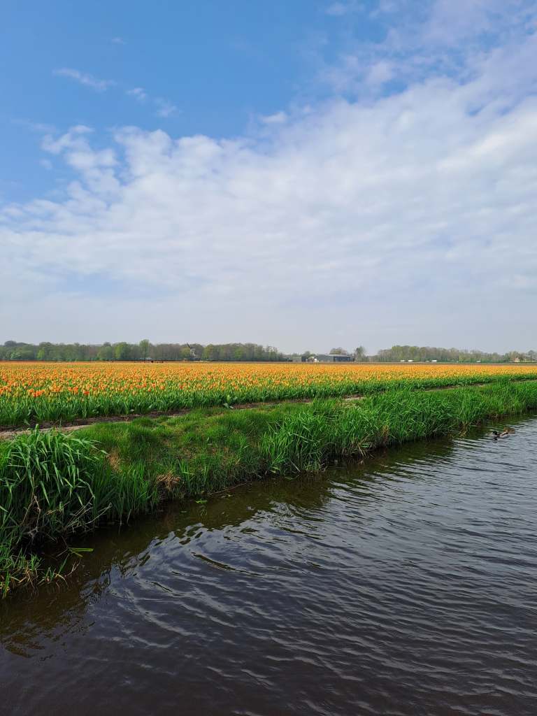 Wispherboat KEUKENHOF BLOMSTERPARK Keukenhof, Stationsweg 166A, 2161 AM Lisse, Nederland bilde tatt 202050413 @heidisboble heidisboble.no