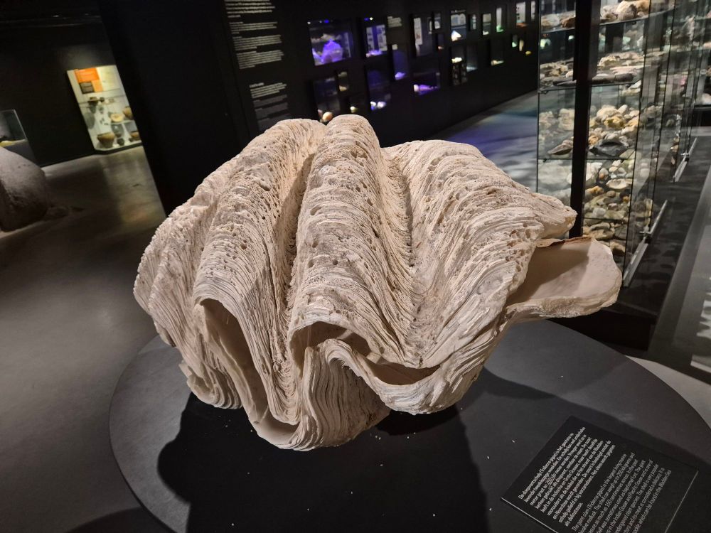 Muzeeaquarium Delfzijl heidisboble.no @heidisboble