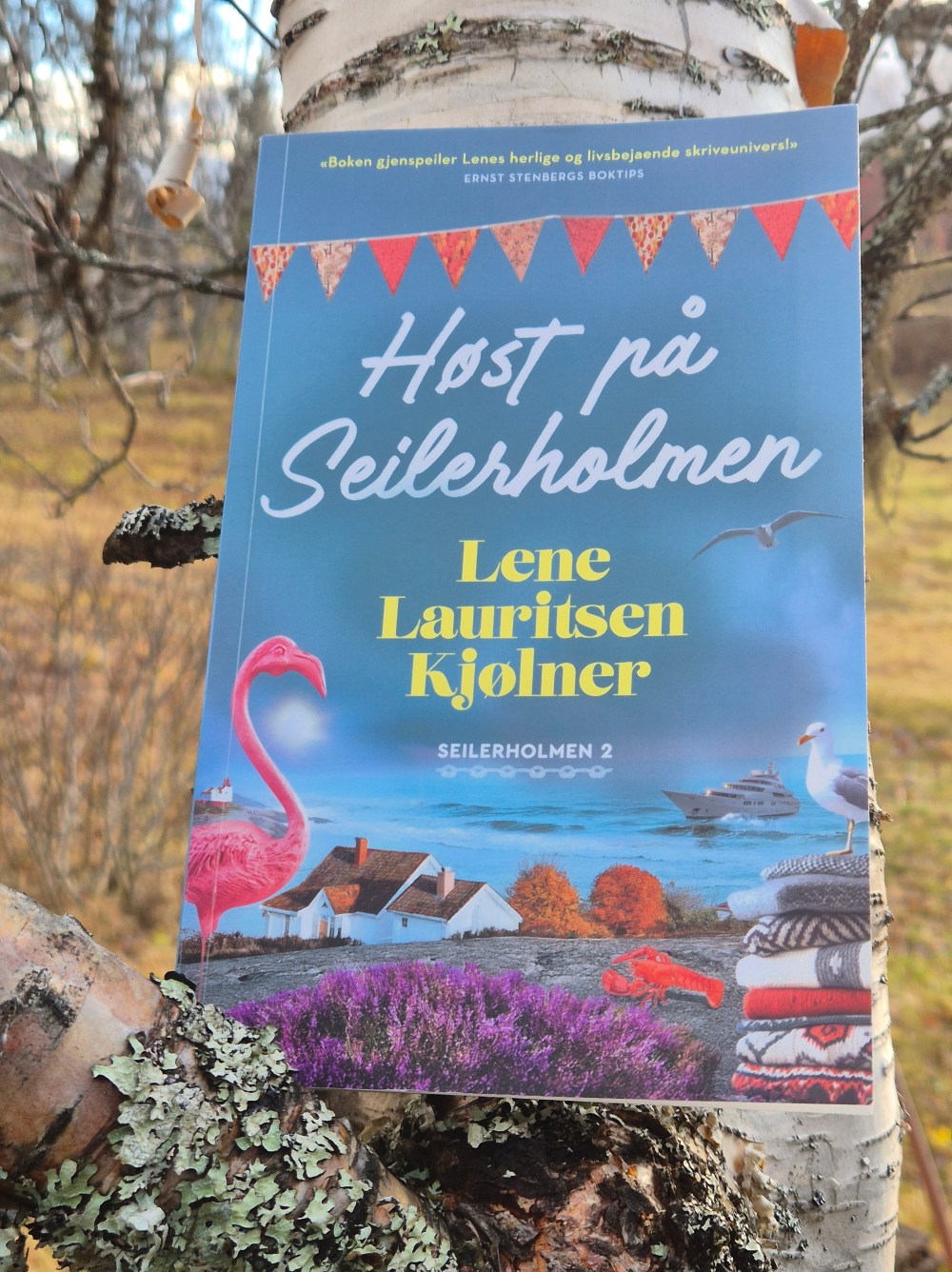 Kjølner, Lene Lauritsen (2025) Høst på Seilerholmen. Fagervik forlag Heidisboble.no @heidisboble