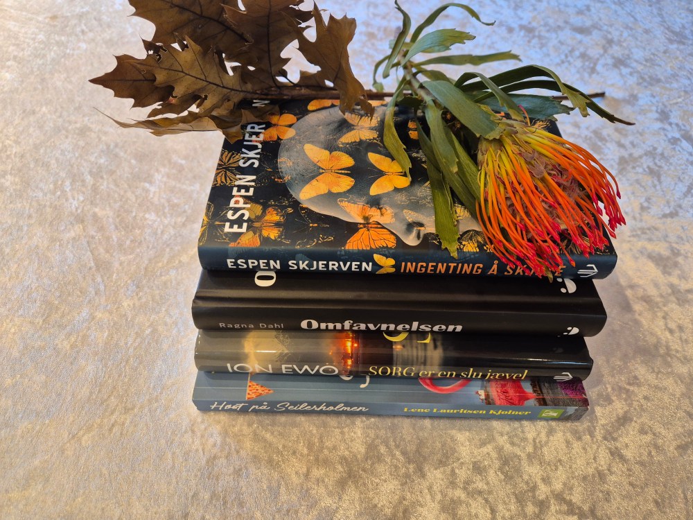 Skjerven, Espen (2025) Ingenting å skjule. Forlagshuset i Vestfold Dahl, Ragna (2025) Omfavnelsen. Forlagshuset i Vestfold Ewo, Jon (2025) Sorg er en slu jævel. Forlagshuset i Vestfold Kjølner, Lene Lauritsen (2025) Høst på Seilerholmen. Fagervik forlag Heidisboble.no @heidisboble