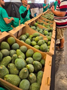 Mango- og avokadofestilval
Arguineguín 14 desember 2025
Bildet tatt 20251214
av
@heidisboble
www.heidisboble.no