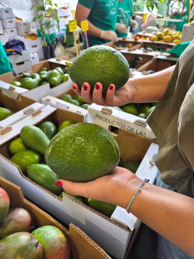 Mango- og avokadofestilval
Arguineguín 14 desember 2025
Bildet tatt 20251214
av
@heidisboble
www.heidisboble.no