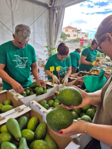 Mango- og avokadofestilval
Arguineguín 14 desember 2025
Bildet tatt 20251214
av
@heidisboble
www.heidisboble.no